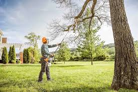 Best Tree Disease Treatment  in Fort Washakie, WY