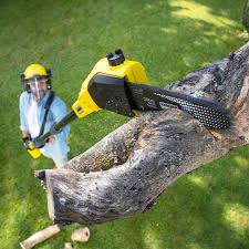 Best Tree Removal Service  in Fort Washakie, WY